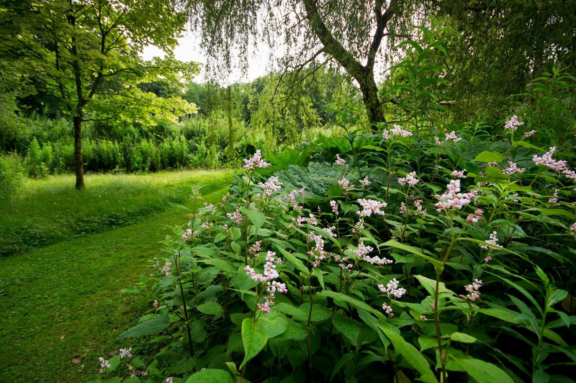 Bird Nest - Private Retreat